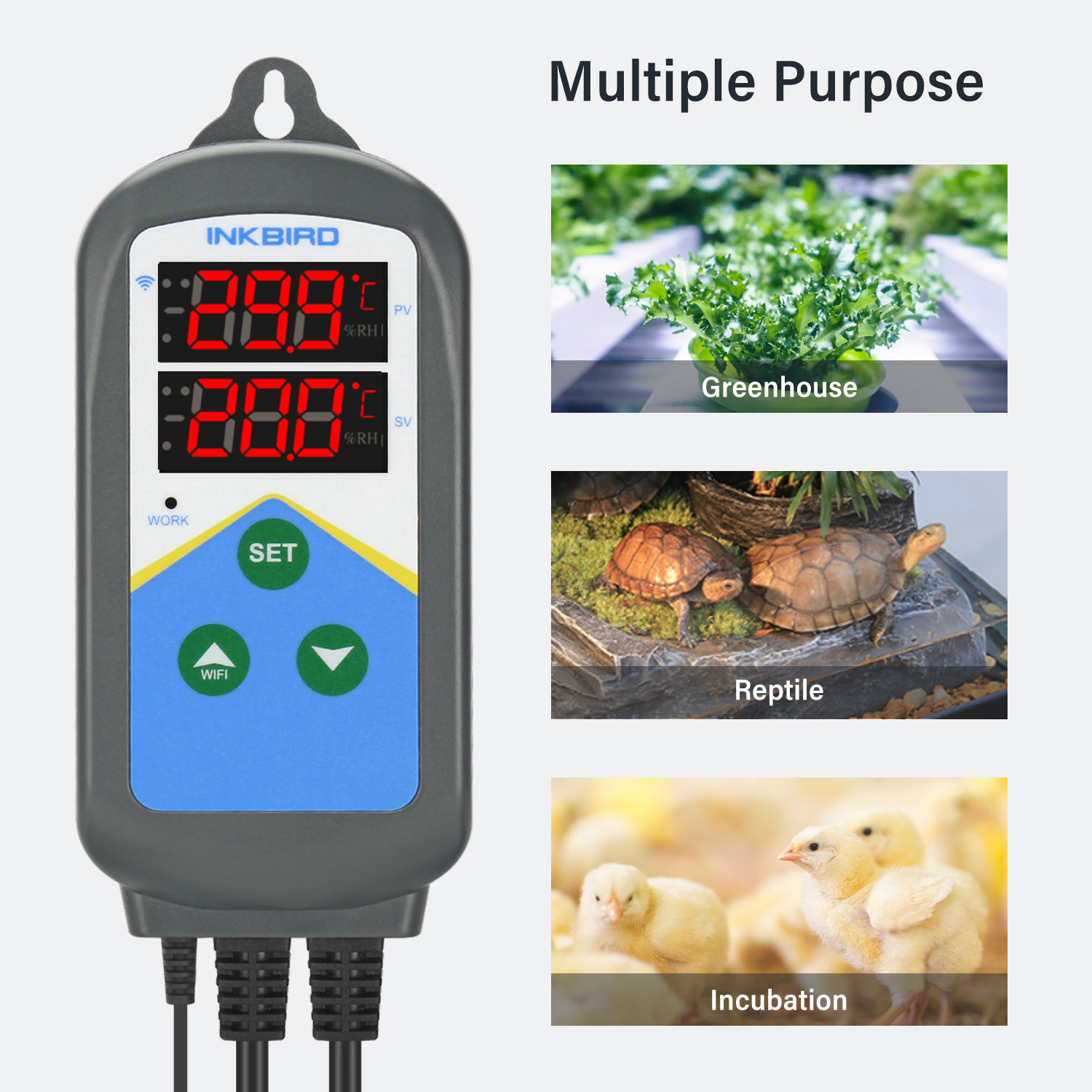 INKBIRD WIFI Thermoregulator I - Wifi Thermostat incelemesi ve fiyatı