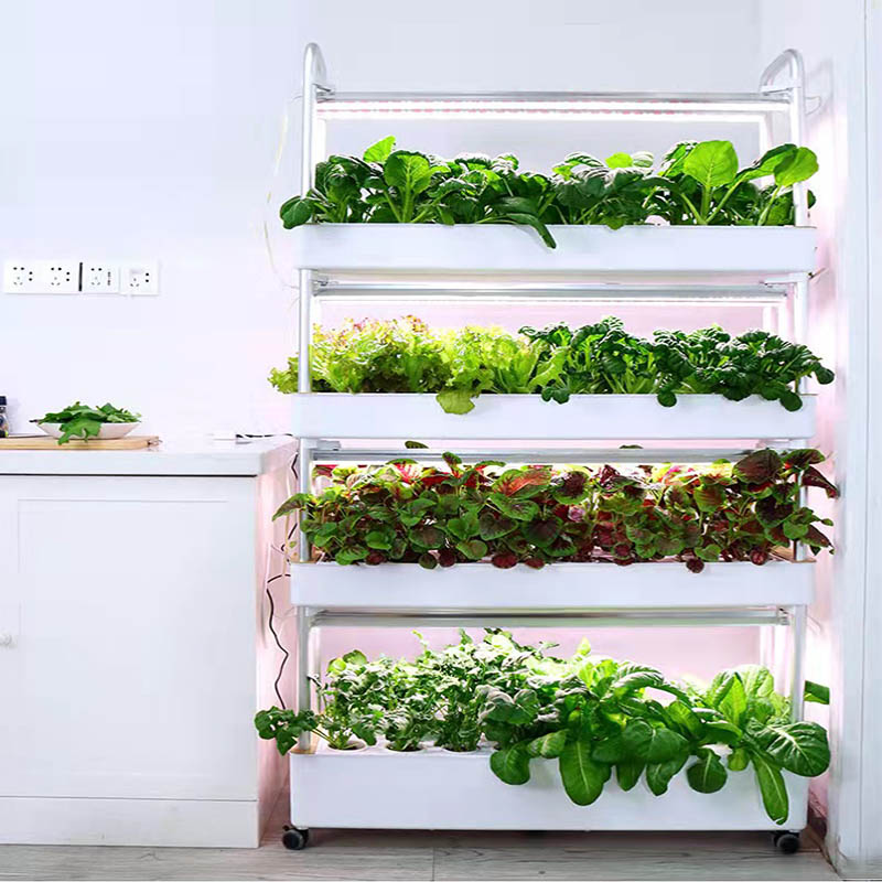 ydroponic Planting System Smar - Smart Home Ac incelemesi ve fiyatı