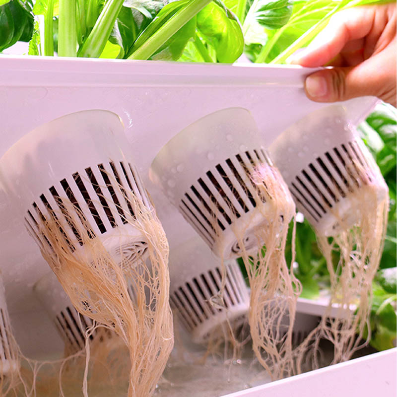 ydroponic Planting System Smar - Smart Home Ac incelemesi ve fiyatı
