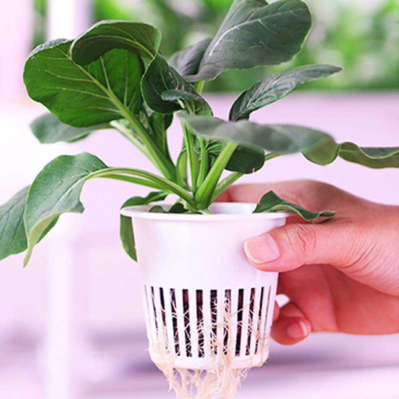ydroponic Planting System Smar - Smart Home Ac incelemesi ve fiyatı